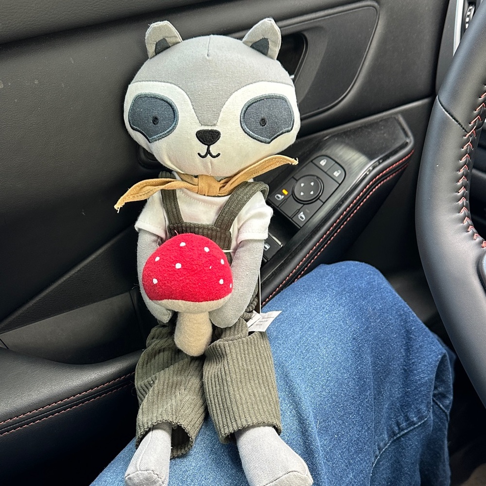 Hearth & Hand with magnolia Gray and Red Plush Raccoon and mushroom